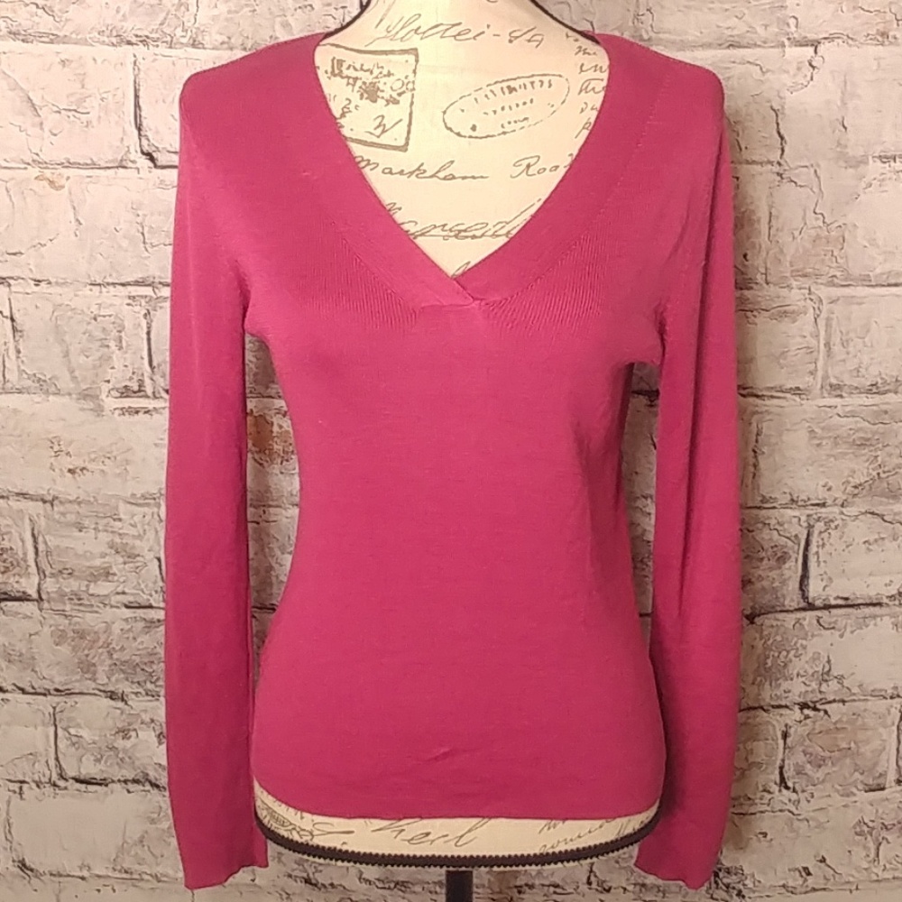 Ann Taylor Loft silk V-neck 100% silk top